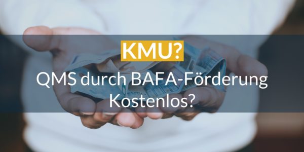 KMU kostenlos zu QMS
