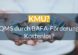 KMU kostenlos zu QMS
